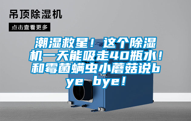 潮濕救星！這個(gè)除濕機(jī)一天能吸走40瓶水！和霉菌螨蟲(chóng)小蘑菇說(shuō)bye bye！