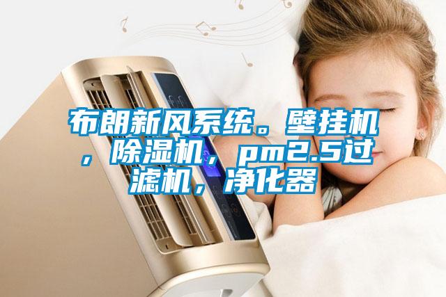 布朗新風(fēng)系統(tǒng)。壁掛機(jī)，除濕機(jī)，pm2.5過濾機(jī)，凈化器