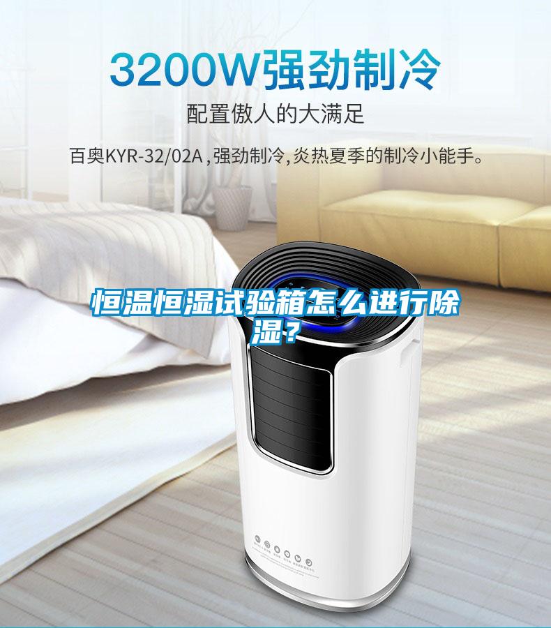 恒溫恒濕試驗箱怎么進(jìn)行除濕？