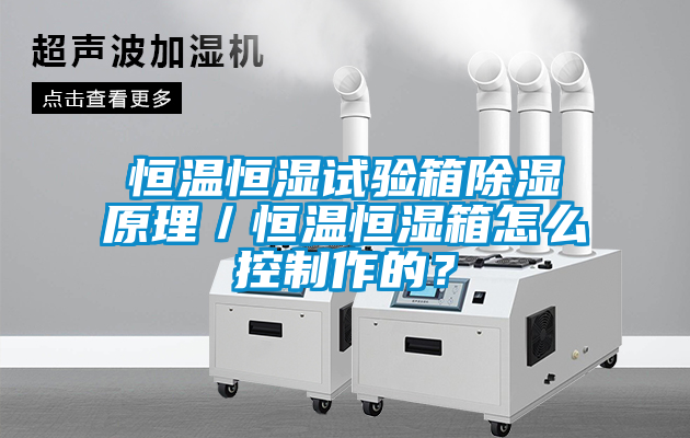 恒溫恒濕試驗箱除濕原理／恒溫恒濕箱怎么控制作的？