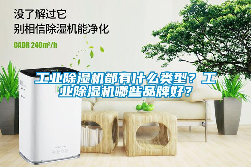 工業除濕機都有什么類型？工業除濕機哪些品牌好？