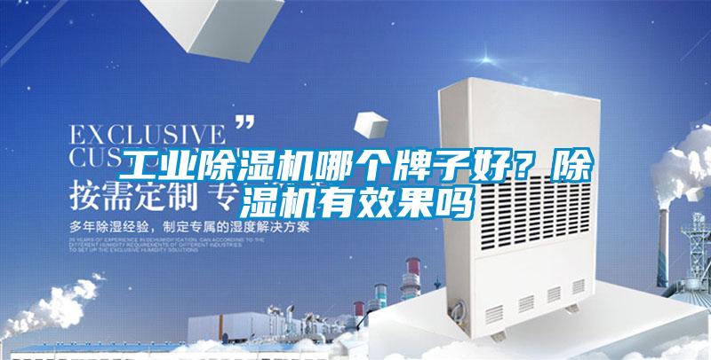 工業除濕機哪個牌子好？除濕機有效果嗎