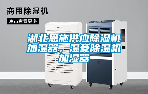 湖北恩施供應(yīng)除濕機加濕器，濕菱除濕機加濕器