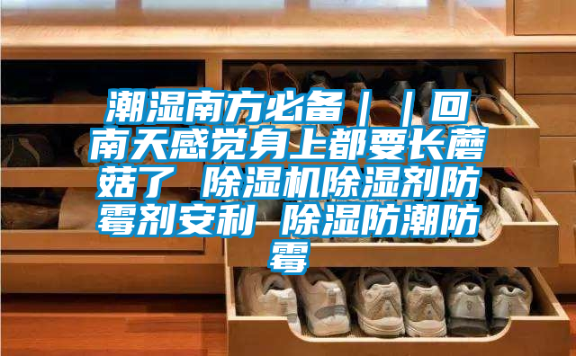 潮濕南方必備｜｜回南天感覺身上都要長(zhǎng)蘑菇了 除濕機(jī)除濕劑防霉劑安利 除濕防潮防霉