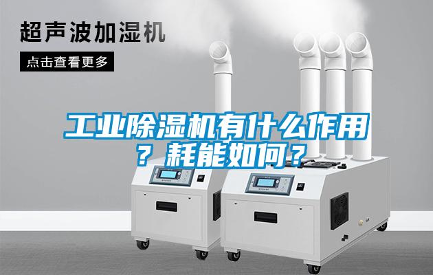 工業(yè)除濕機有什么作用？耗能如何？