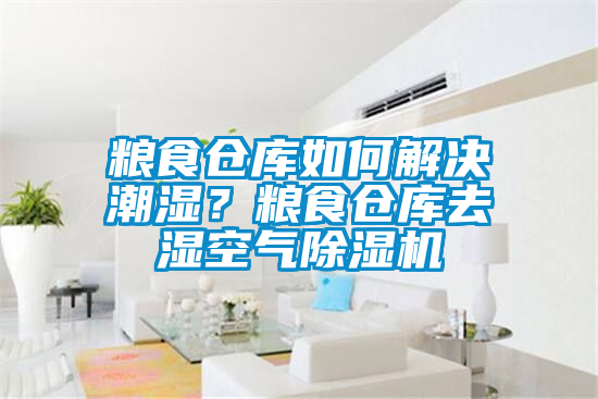 糧食倉庫如何解決潮濕？糧食倉庫去濕空氣除濕機