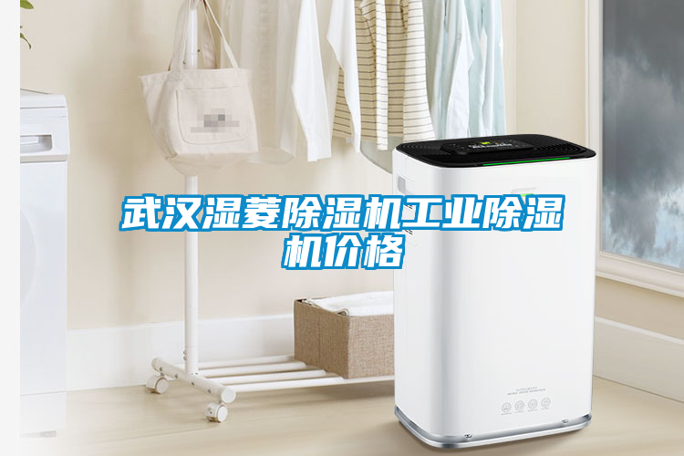 武漢濕菱除濕機工業(yè)除濕機價格