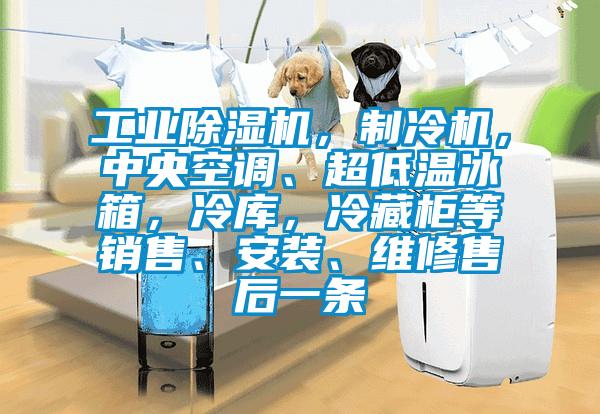 工業(yè)除濕機，制冷機，中央空調(diào)、超低溫冰箱，冷庫，冷藏柜等銷售、安裝、維修售后一條