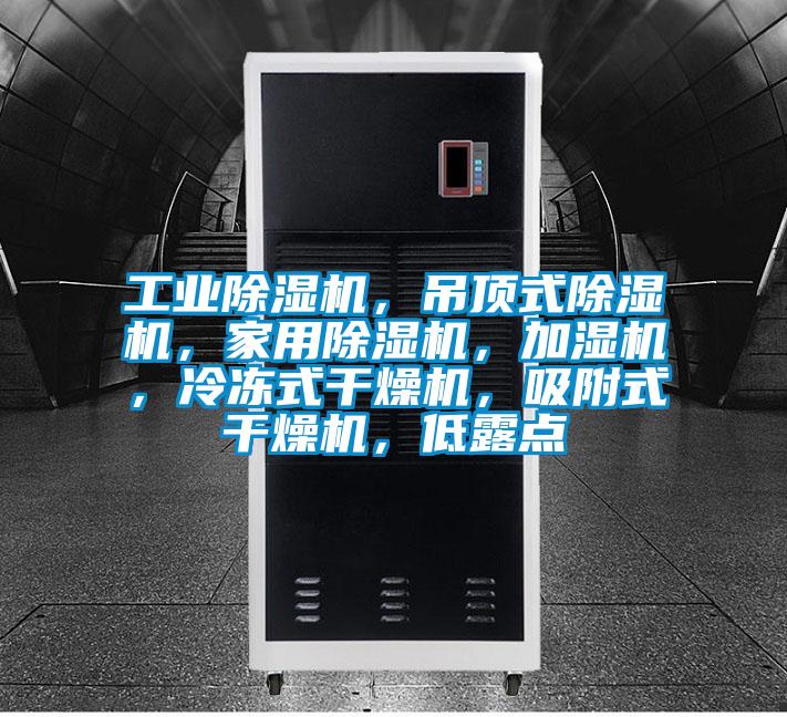 工業除濕機，吊頂式除濕機，家用除濕機，加濕機，冷凍式干燥機，吸附式干燥機，低露點