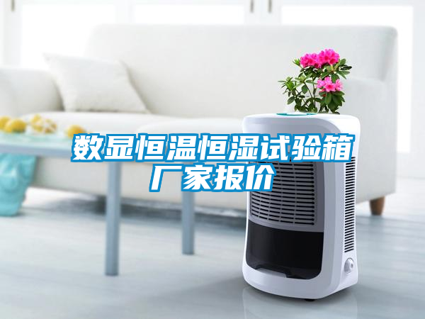 數(shù)顯恒溫恒濕試驗(yàn)箱廠家報價