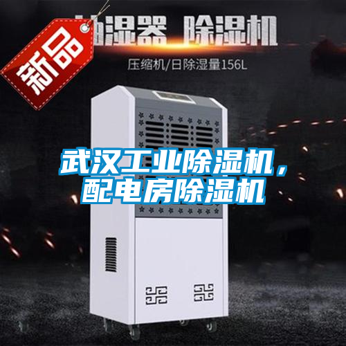 武漢工業除濕機，配電房除濕機