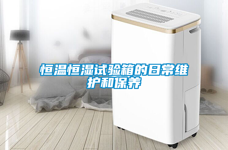 恒溫恒濕試驗箱的日常維護(hù)和保養(yǎng)