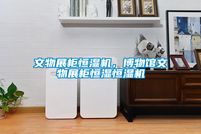 文物展柜恒濕機(jī)，博物館文物展柜恒濕恒濕機(jī)