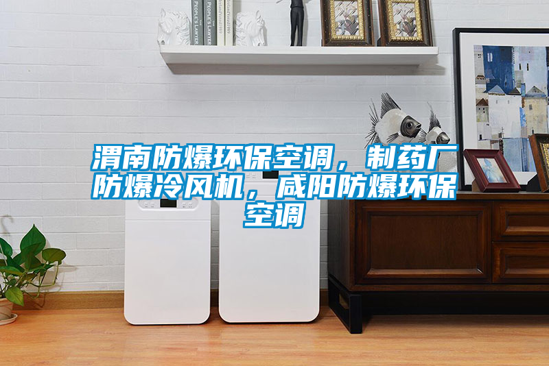 渭南防爆環?？照{，制藥廠防爆冷風機，咸陽防爆環?？照{