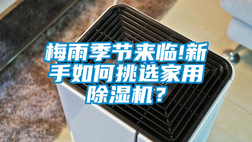 梅雨季節來臨!新手如何挑選家用除濕機？