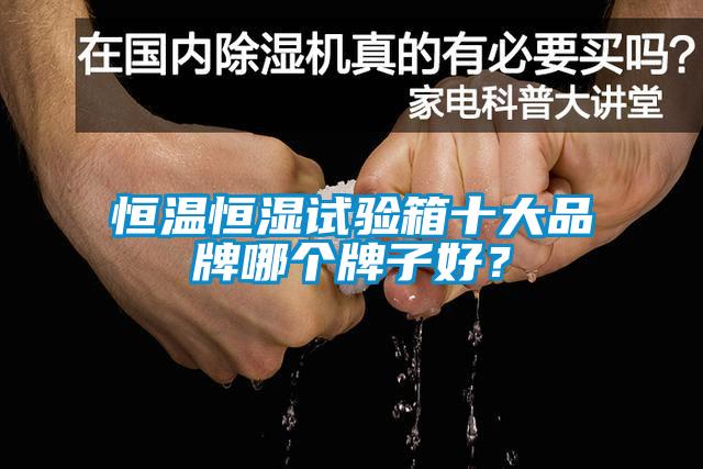 恒溫恒濕試驗箱十大品牌哪個牌子好？