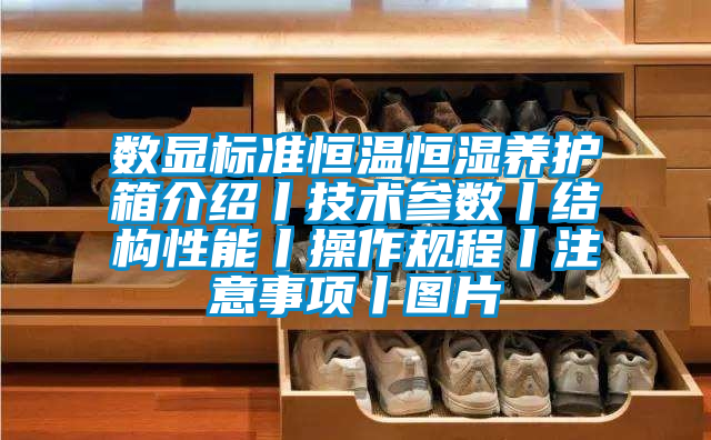 數(shù)顯標(biāo)準(zhǔn)恒溫恒濕養(yǎng)護(hù)箱介紹丨技術(shù)參數(shù)丨結(jié)構(gòu)性能丨操作規(guī)程丨注意事項丨圖片