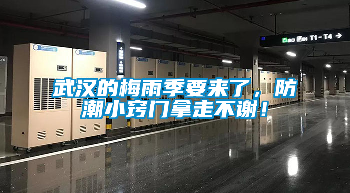武漢的梅雨季要來了，防潮小竅門拿走不謝！