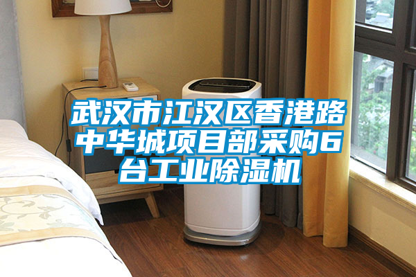 武漢市江漢區香港路中華城項目部采購6臺工業除濕機