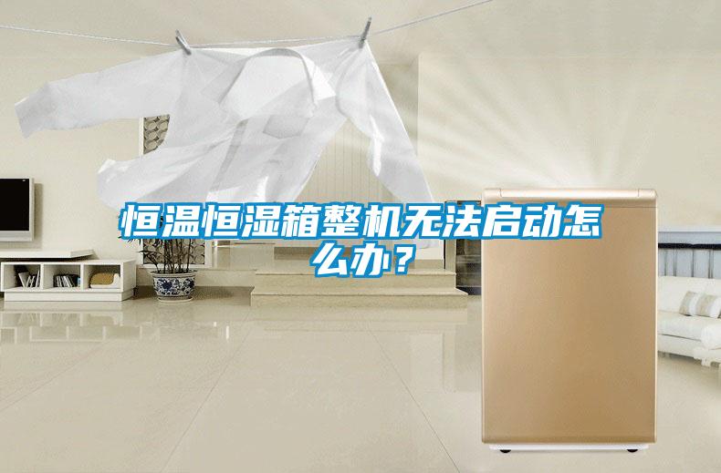 恒溫恒濕箱整機(jī)無法啟動(dòng)怎么辦？