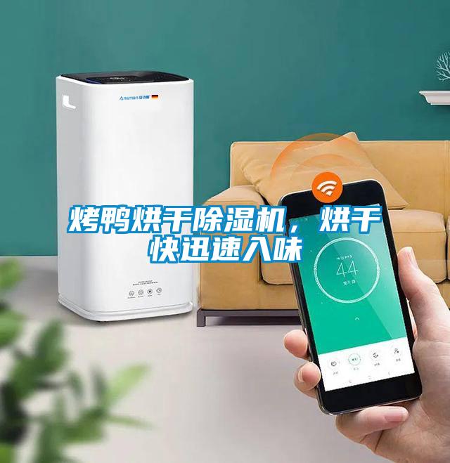 烤鴨烘干除濕機(jī)，烘干快迅速入味