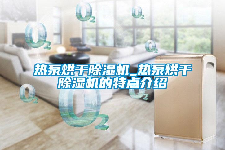 熱泵烘干除濕機(jī)_熱泵烘干除濕機(jī)的特點介紹