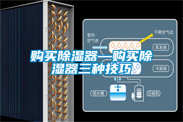 購(gòu)買(mǎi)除濕器—購(gòu)買(mǎi)除濕器三種技巧