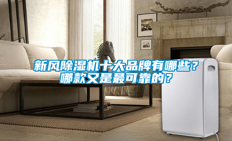 新風(fēng)除濕機(jī)十大品牌有哪些？哪款又是最可靠的？