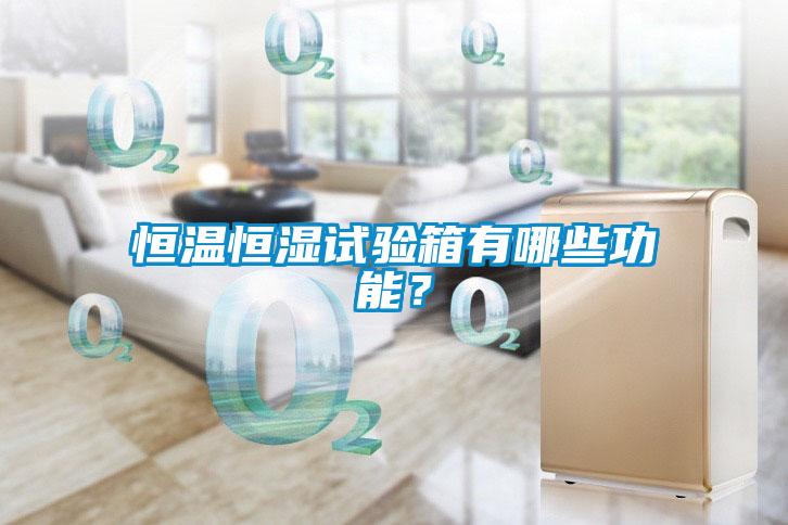 恒溫恒濕試驗箱有哪些功能？