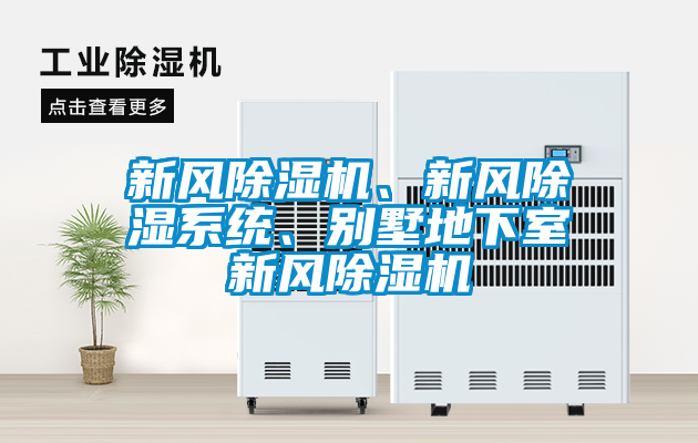 新風(fēng)除濕機(jī)、新風(fēng)除濕系統(tǒng)、別墅地下室新風(fēng)除濕機(jī)
