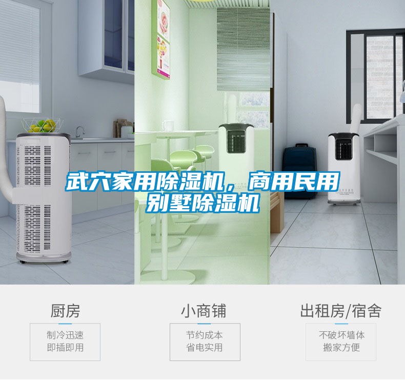 武穴家用除濕機(jī)，商用民用別墅除濕機(jī)