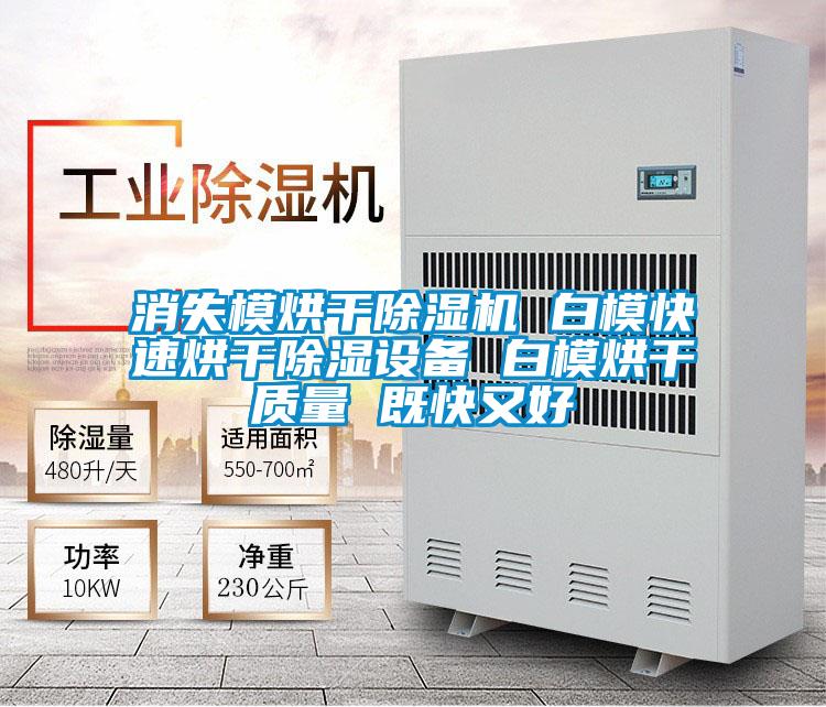 消失模烘干除濕機(jī) 白?？焖俸娓沙凉裨O(shè)備 白模烘干質(zhì)量 既快又好