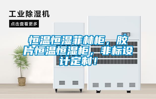 恒溫恒濕菲林柜，膠片恒溫恒濕柜，非標設計定制！