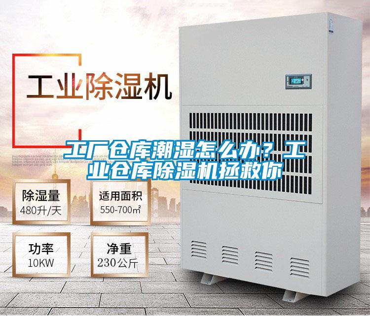 工廠倉庫潮濕怎么辦？工業(yè)倉庫除濕機(jī)拯救你