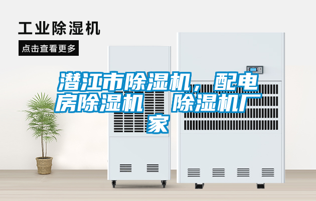潛江市除濕機(jī)，配電房除濕機(jī)  除濕機(jī)廠家