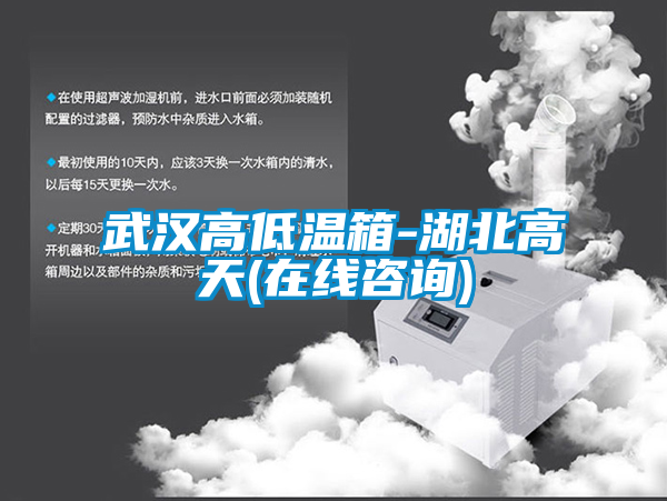 武漢高低溫箱-湖北高天(在線咨詢(xún))
