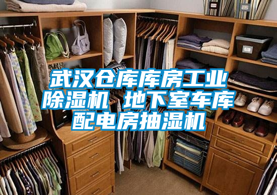 武漢倉(cāng)庫(kù)庫(kù)房工業(yè)除濕機(jī) 地下室車(chē)庫(kù)配電房抽濕機(jī)
