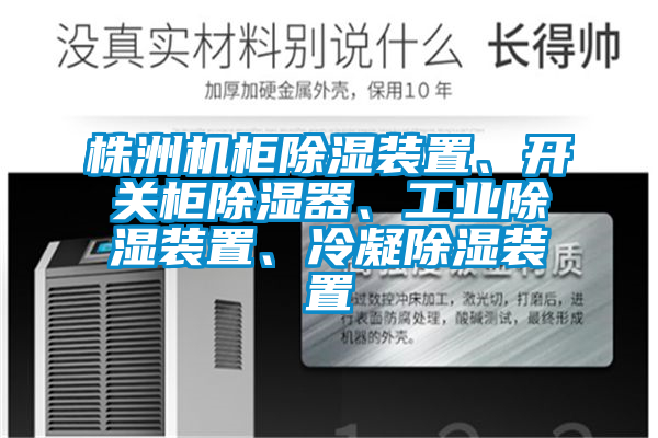 株洲機柜除濕裝置、開關柜除濕器、工業除濕裝置、冷凝除濕裝置