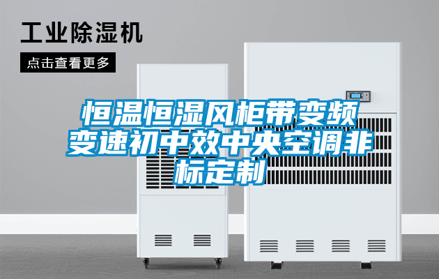 恒溫恒濕風柜帶變頻變速初中效中央空調(diào)非標定制