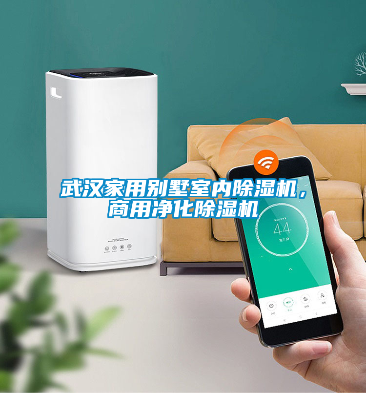 武漢家用別墅室內除濕機，商用凈化除濕機