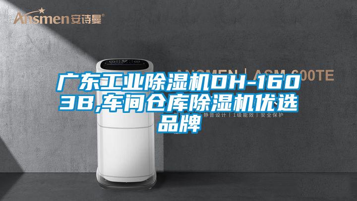 廣東工業(yè)除濕機(jī)DH-1603B,車間倉(cāng)庫(kù)除濕機(jī)優(yōu)選品牌
