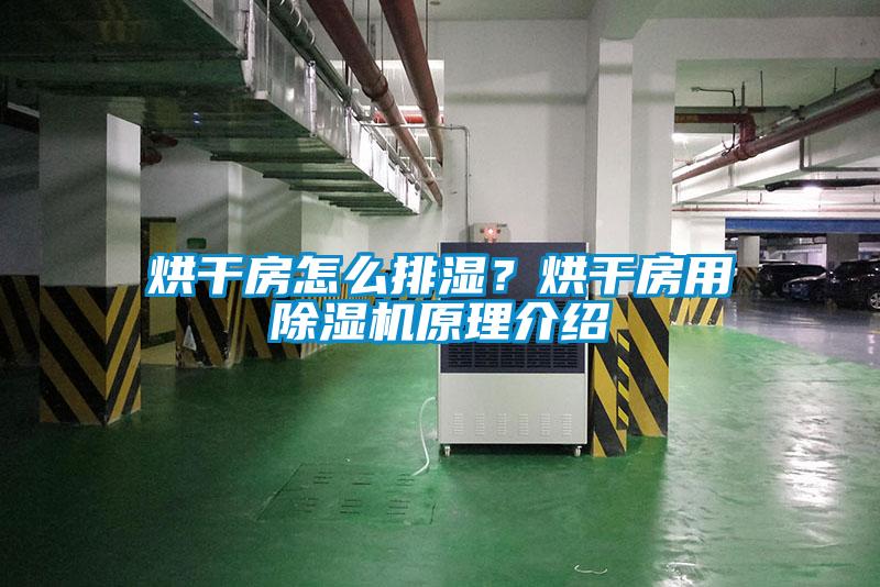 烘干房怎么排濕？烘干房用除濕機原理介紹