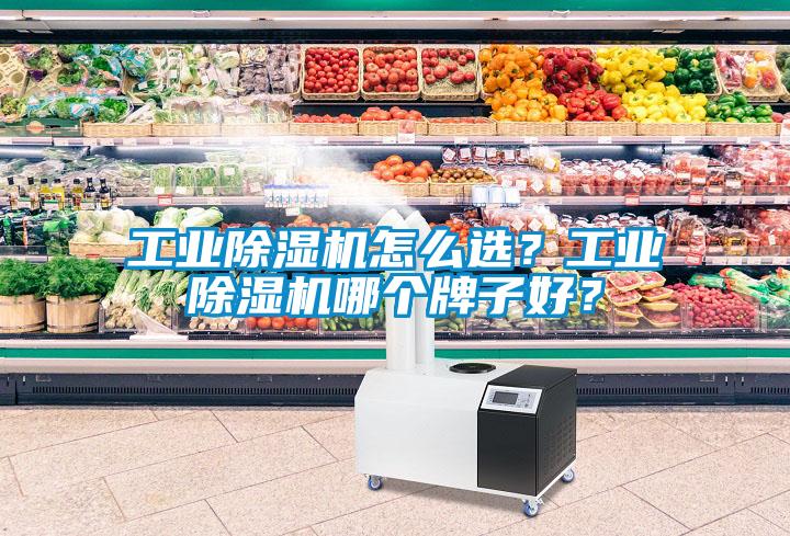 工業(yè)除濕機(jī)怎么選？工業(yè)除濕機(jī)哪個牌子好？