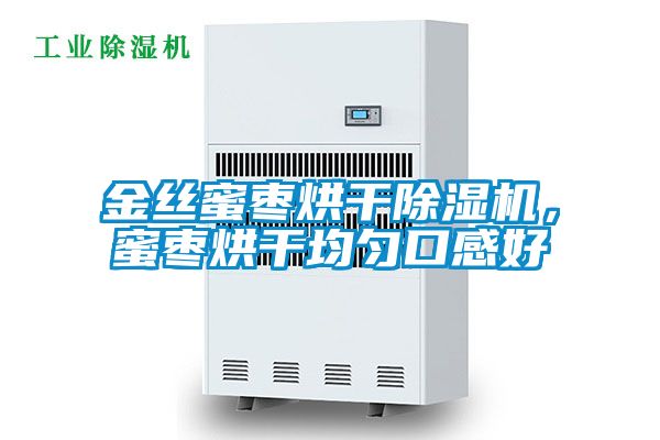 金絲蜜棗烘干除濕機，蜜棗烘干均勻口感好