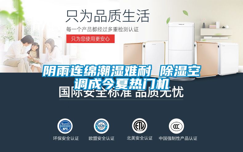 陰雨連綿潮濕難耐 除濕空調(diào)成今夏熱門機(jī)