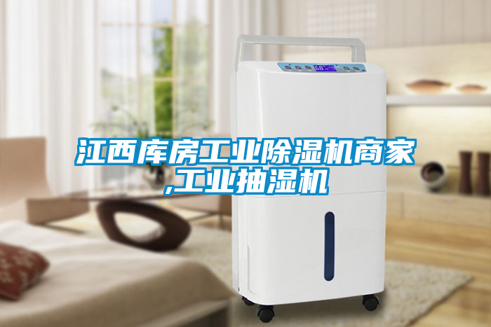 江西庫房工業(yè)除濕機(jī)商家,工業(yè)抽濕機(jī)