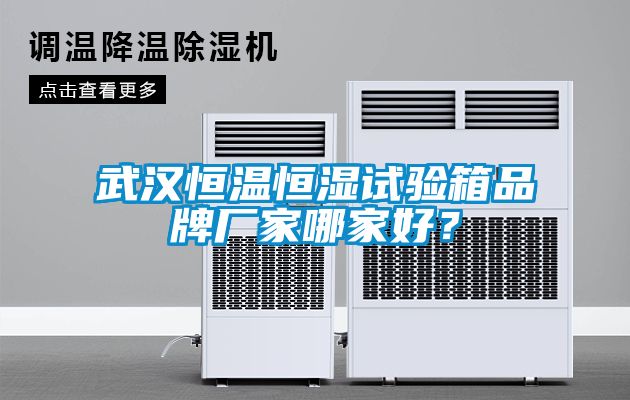 武漢恒溫恒濕試驗箱品牌廠家哪家好？