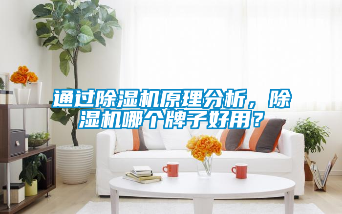 通過除濕機原理分析，除濕機哪個牌子好用？