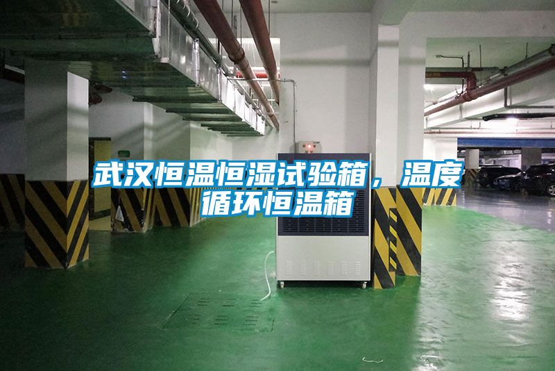 武漢恒溫恒濕試驗(yàn)箱，溫度循環(huán)恒溫箱