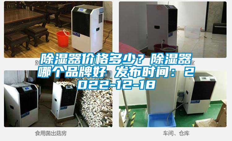 除濕器價格多少？除濕器哪個品牌好 發(fā)布時間：2022-12-18